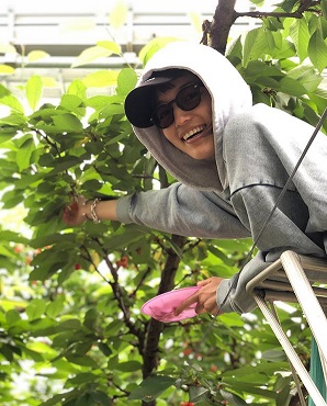 川口春奈さくらんぼ狩り