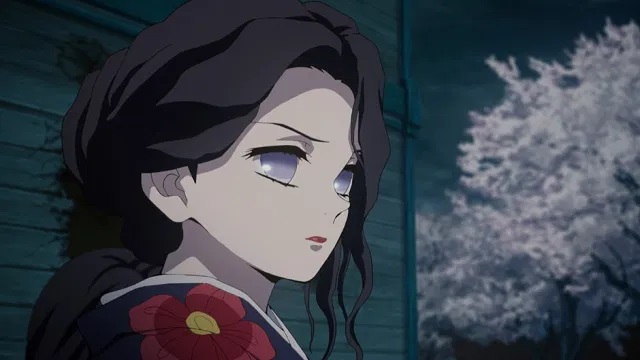 珠世の血鬼術