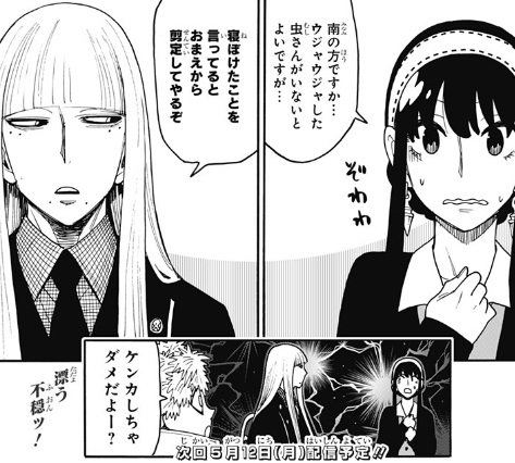 【スパイファミリー】第115話のネタバレ！弟切はヨルとバチバチ！？