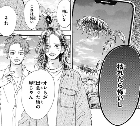 ハニーレモンソーダの117話のネタバレ最新話！ひまわり畑を発見