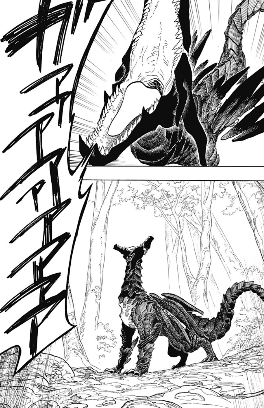 ルリドラゴンの48話のネタバレ最新話！ルリvs黒龍！