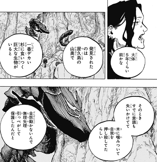 ルリドラゴンの50話のネタバレ最新話!クロが暴走した原因