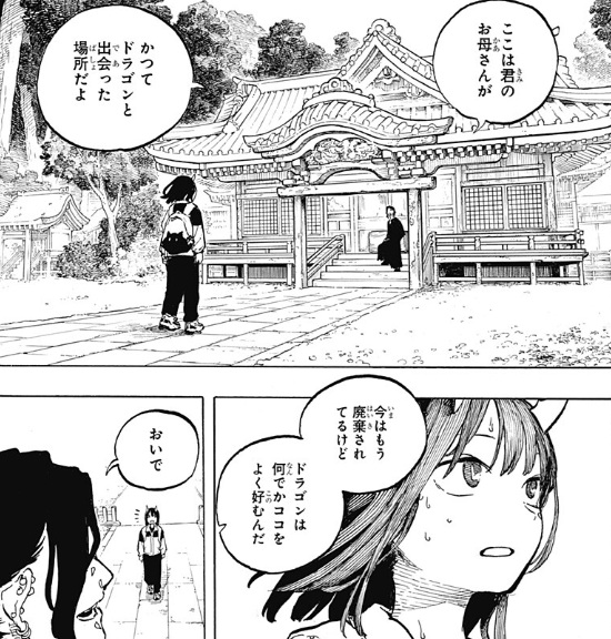 ルリドラゴンの50話のネタバレ最新話!ルリの母が竜と出会った場所