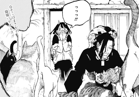 ルリドラゴンの50話のネタバレ最新話!突然の猫ハウス!?
