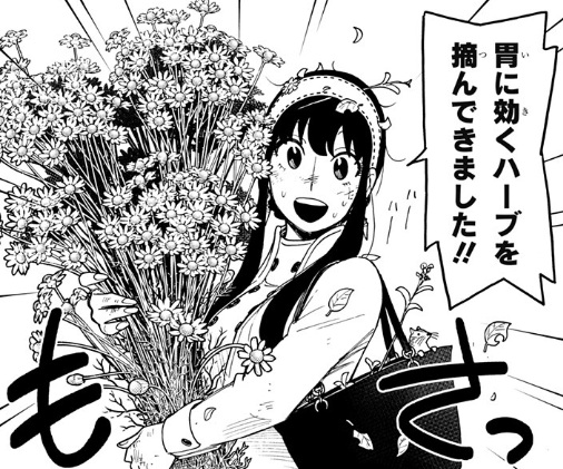 【スパイファミリー】第140話のネタバレ!フォージャー家が薬草とハーブで溢れる笑