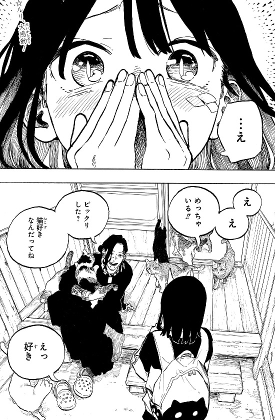 ルリドラゴンの51話のネタバレ最新話！猫パラダイス！